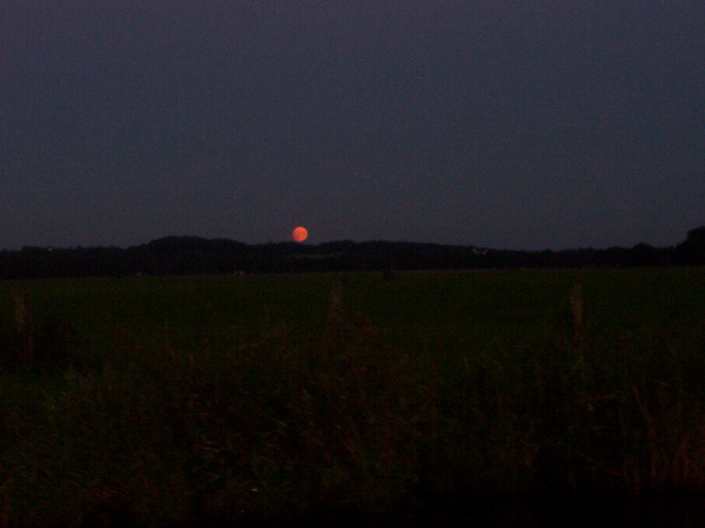 bild419